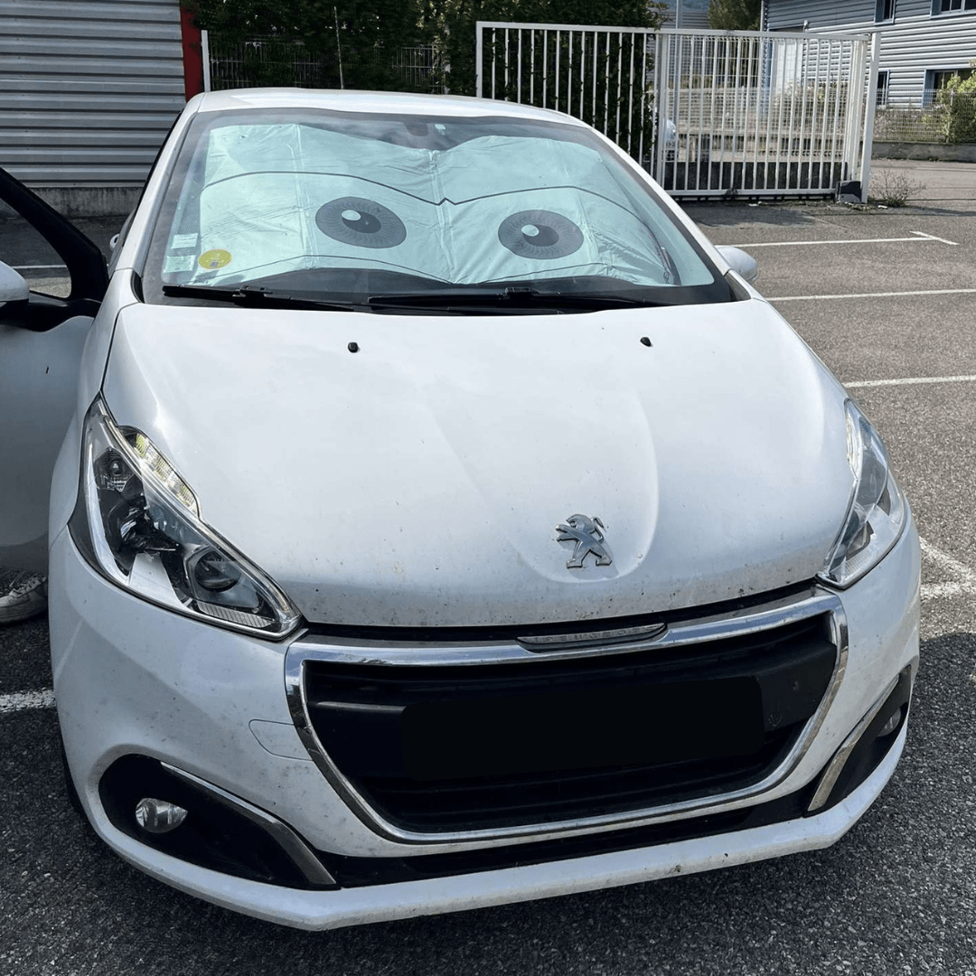 Pare - soleil Cars variant_title – product_title