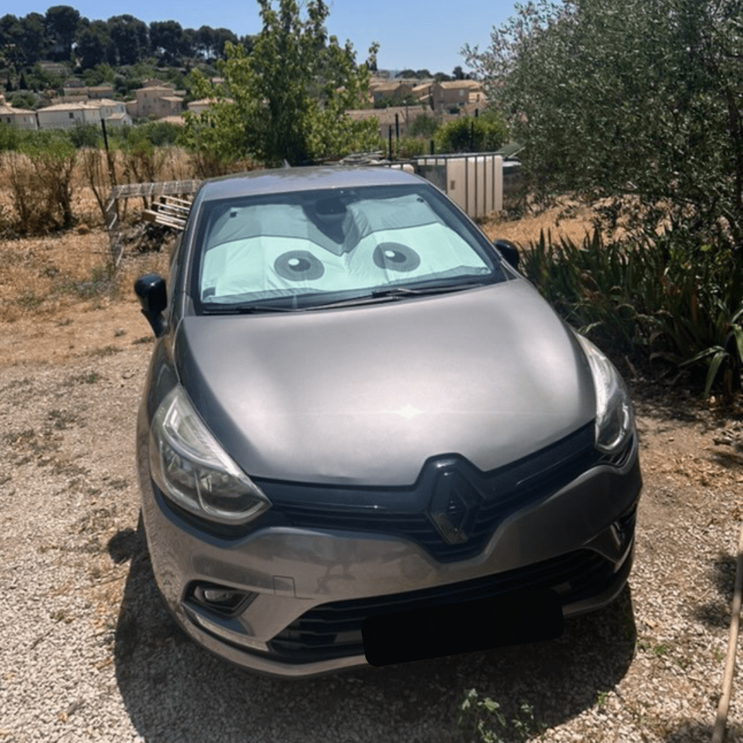 Pare - soleil Cars variant_title – product_title