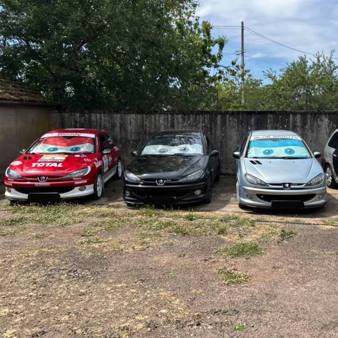 Pare-soleil avec yeux et couleurs personnalisables parmi +80 possibilités pour peugeot 206 et 206 S16