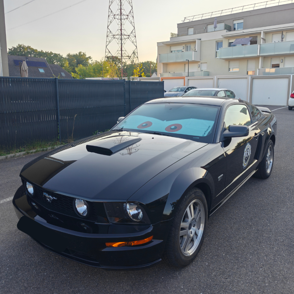 Pare-soleil-yeux-cars-eyes-look-noir-ford-mustang