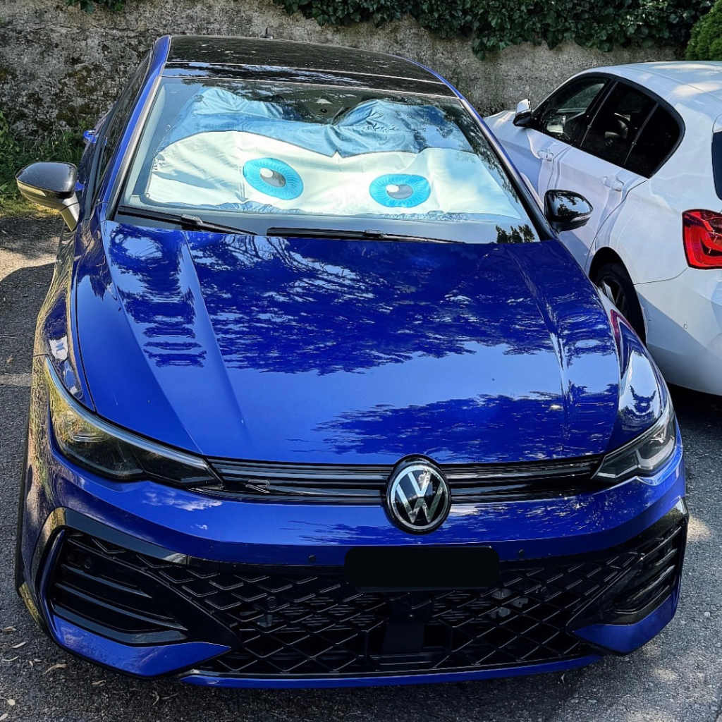 Pare-soleil-yeux-cars-eyes-look-bleu-golf-7r