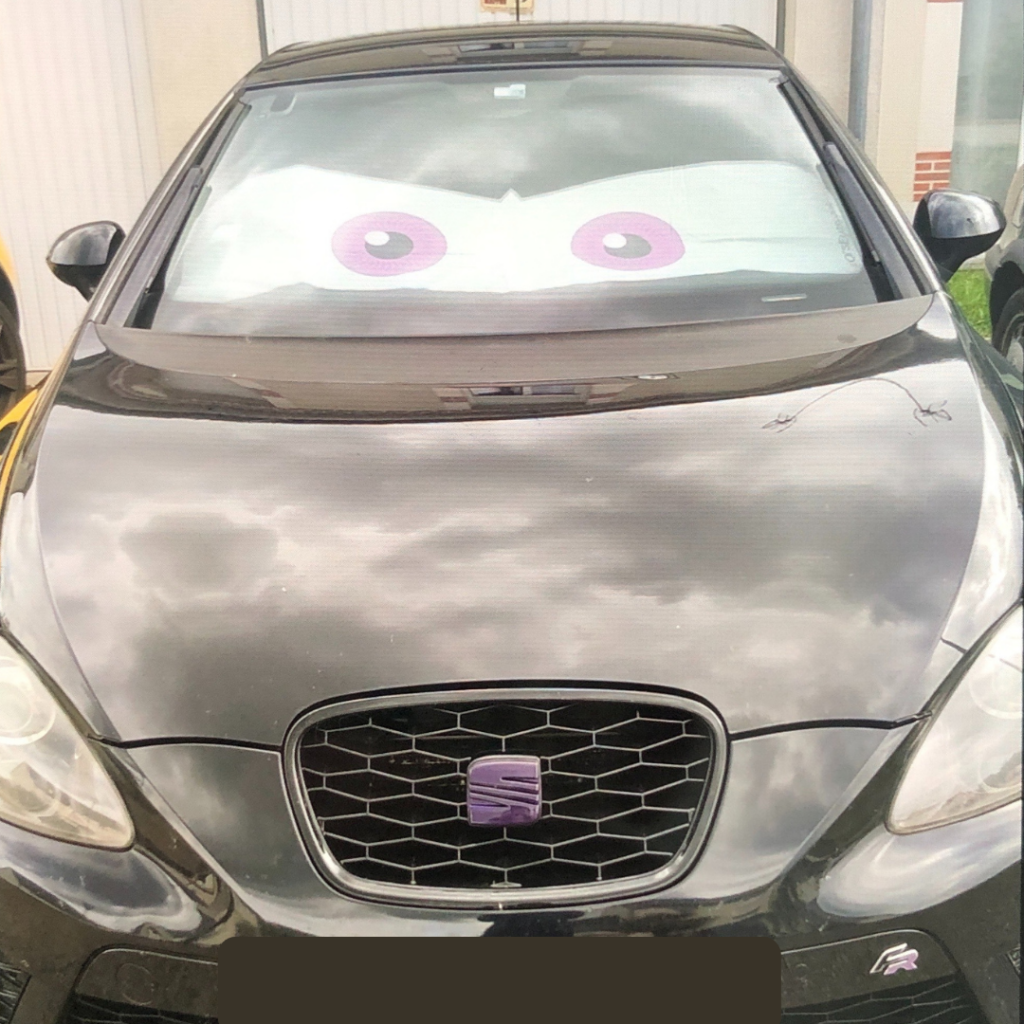 Pare-soleil-yeux-cars-eyes-look-noir-seat-leon-fr